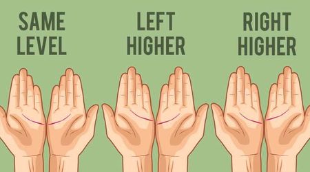 Fun Test: What Do the the Lines on Your Palm Reveal About ...